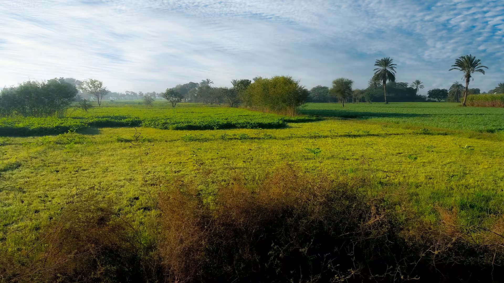 Village Background